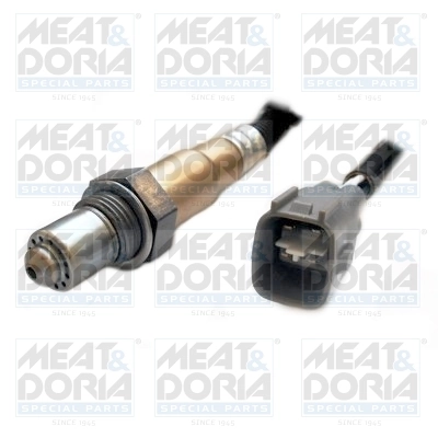 Oxygen Sensor